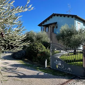 Marta Cesena